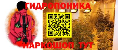 скорость Моздок