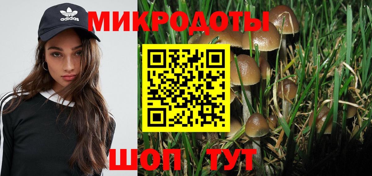 Псилоцибиновые грибы ЛСД  сколько стоит  Вход с VPN  Советский  Галлюциногенные грибы Psilocybe 